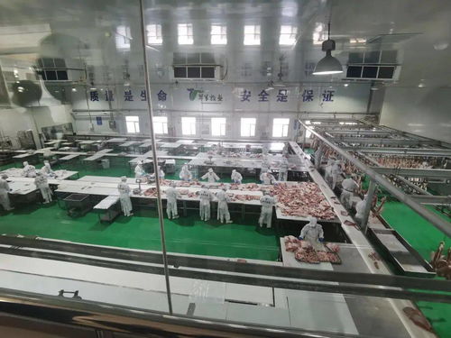 電子商務進牧區，郵政企業有話說